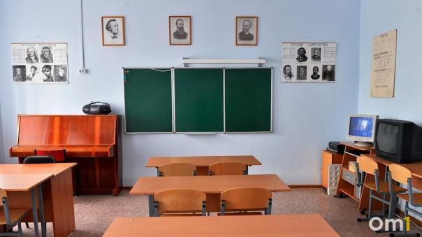 Директор новосибирской школы опровергла факт травмы избитого на перемене ученика