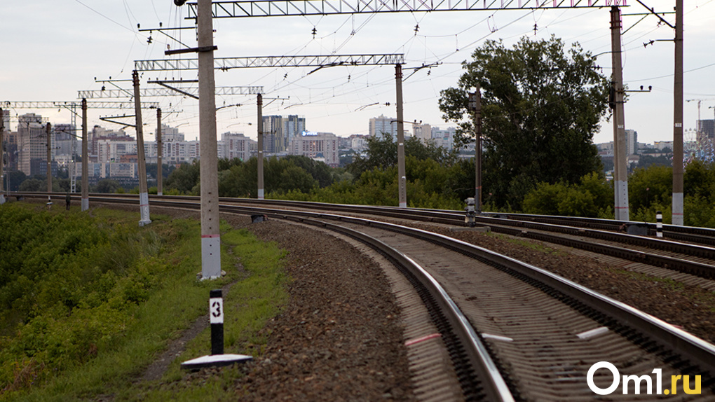 Пенсионерка и 25-летний мужчина попали под колёса поезда в Новосибирске
