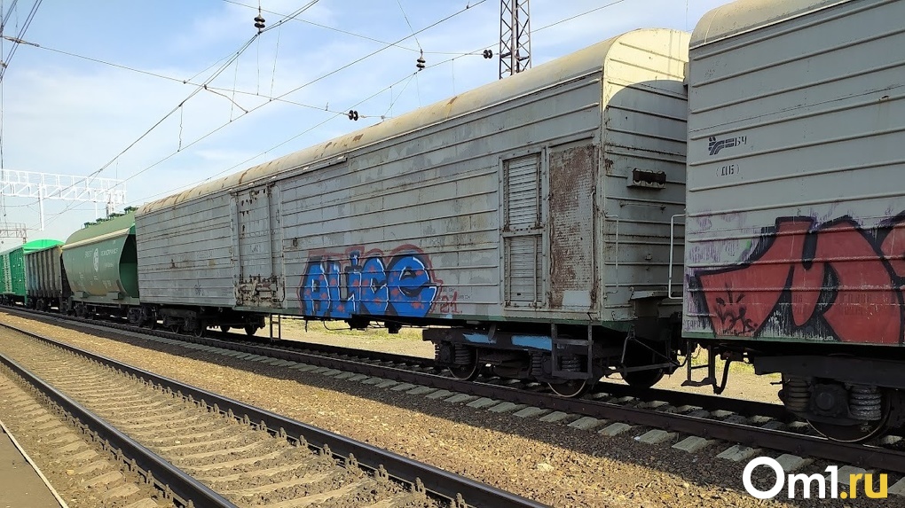 В Омской области сразу двое мужчин погибли, попав под поезд