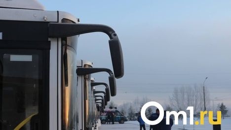Остановкам 42-го маршрута, который поедет по улице Панфилова в Омске, дали названия