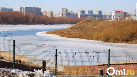 В Омской области нашли три предприятия, загрязняющие воздух