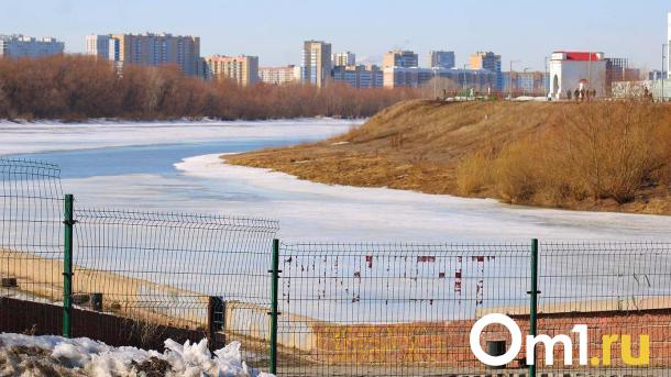В Омской области нашли три предприятия, загрязняющие воздух
