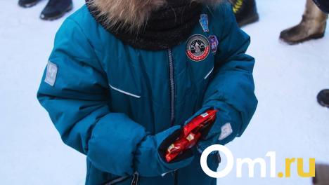 «Женщина цыганской народности»: жительница Новосибирска использовала детей для краж в Новокузнецке