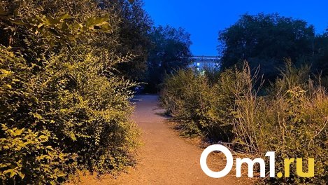 Голый мужчина преследовал школьниц на улице Лизы Чайкиной в Омске