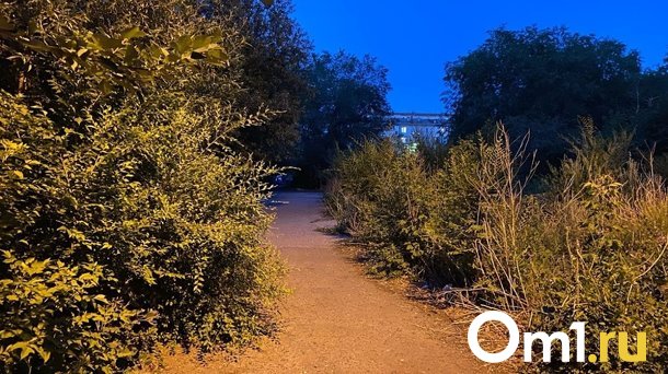 Голый мужчина преследовал школьниц на улице Лизы Чайкиной в Омске