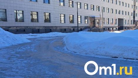 Омичам рассказали, где оставить обращения на уборку снега и наледи