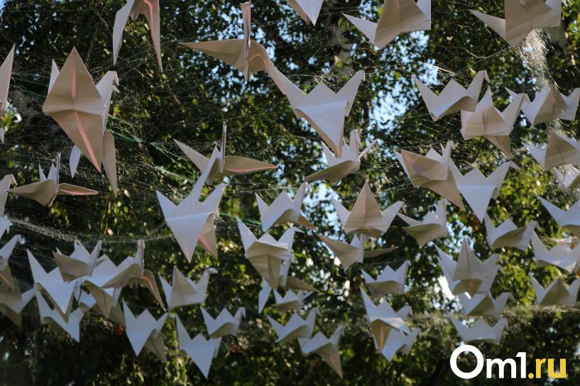 Изображение фоторепортажа