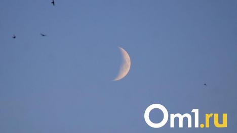 До -5 градусов: омичей предупредили о ночных заморозках