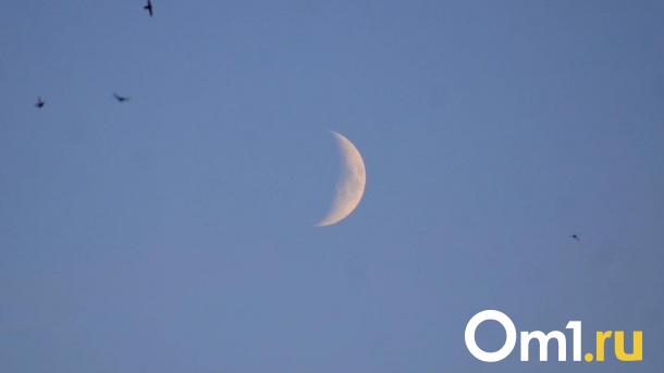 До -5 градусов: омичей предупредили о ночных заморозках