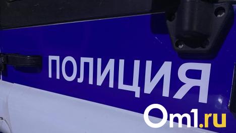 Несмотря на ливень: омские полицейские помогли маленькому ребёнку добраться до больницы