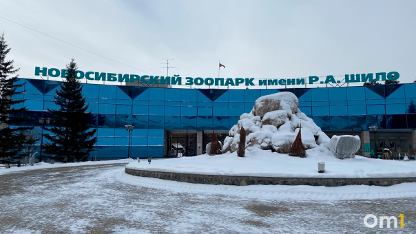 Питомцам Новосибирского зоопарка утепляют домики и меняют рацион питания из-за морозов