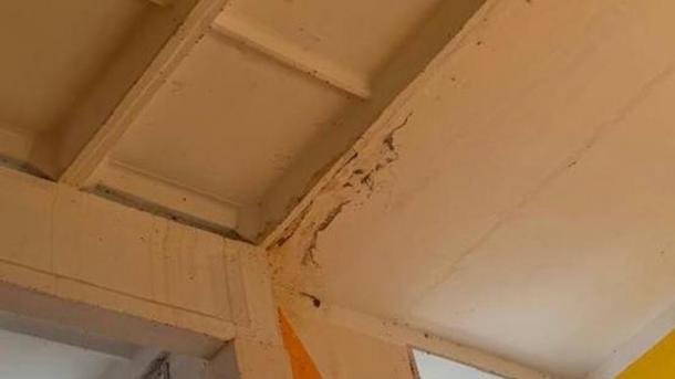 В школе Омской области прокуратура нашла опасный грибок