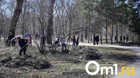 Омичи выйдут на Всероссийский субботник