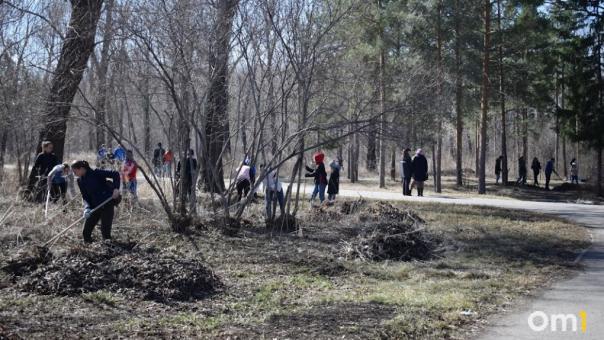 Омичи выйдут на Всероссийский субботник
