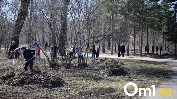 Омичи выйдут на Всероссийский субботник