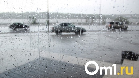 Короткая рабочая неделя обещает омичам тепло и грозу