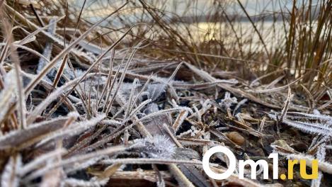 На следующей неделе в Омске похолодает до -25 градусов