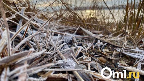 На следующей неделе в Омске похолодает до -25 градусов