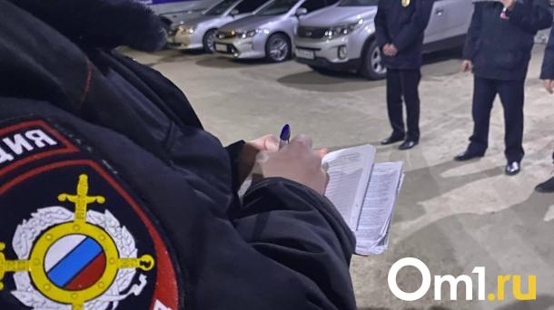 В полиции рассказали подробности массовой драки подростков в Омске