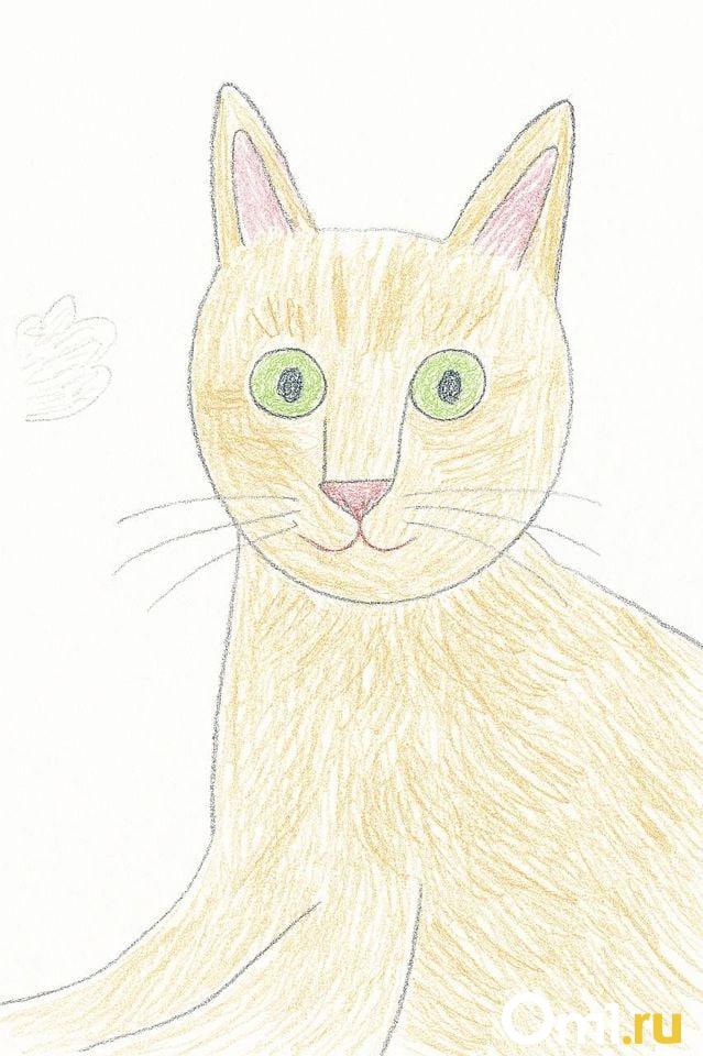 Дети рисуют питомцев за деньги в интернете: милый бизнес или спекуляция? Мы заказали рисунок кота — результат удивил
