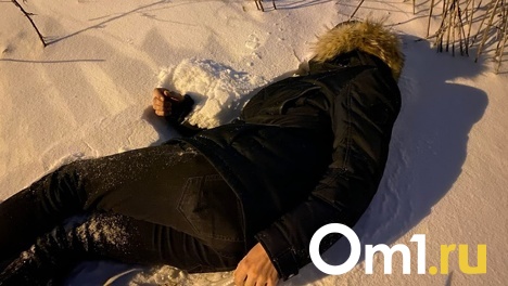 Ещё одного пропавшего зимой омича нашли мёртвым