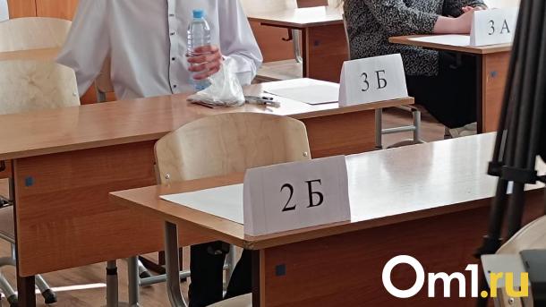 Новосибирский психолог рассказал, как поддержать ребёнка в преддверии ОГЭ и ЕГЭ