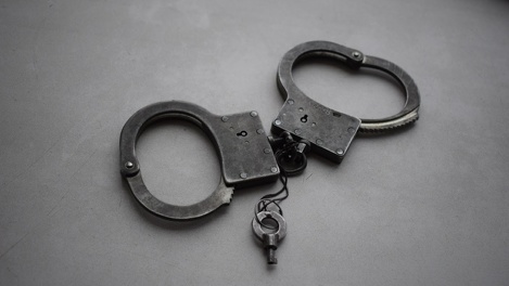 Экс-начальник ветстанции в Омской области украл 94 000 рублей