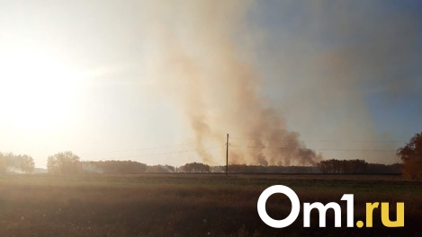 У омича арестовали автомобиль за брошенный в поле окурок