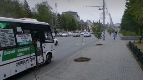 Топоры любят тишину: размышления омича о процессе, обратном озеленению