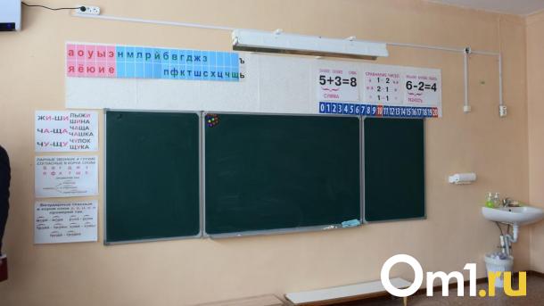 Поиск подрядчика, который проконтролирует капремонт омских школ, приостановлен