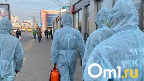 В Омской области перед Новым годом улучшилась ситуация по коронавирусу