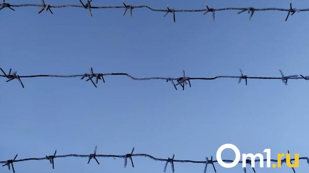 Водителя, который сбил ребёнка в Марьяновке, отправили в СИЗО