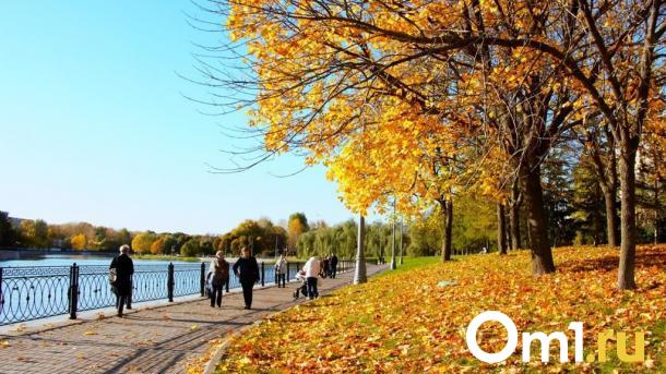 Куда омичам поехать в отпуск осенью? Топ мест для семейного отдыха