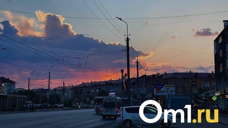 Омские водители-нарушители заплатят более 750 тысяч рублей за парковку на газоне