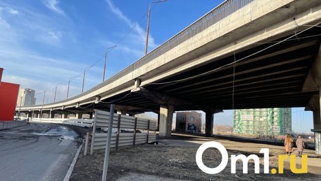 Омичка посреди дня пыталась с моста выкинуть двух кошек