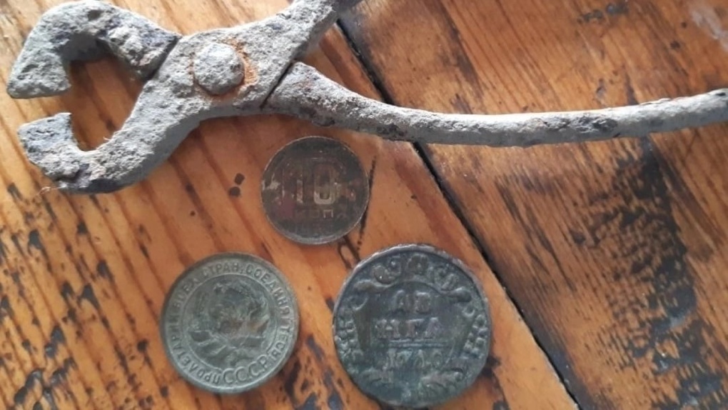 «Рыл в помидорах»: редкую монету 1740 года нашли в огороде в Новосибирске