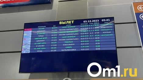 В омском аэропорту массово задержали рейсы из-за метели и дождя