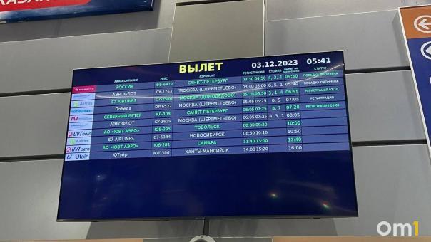 В омском аэропорту массово задержали рейсы из-за метели и дождя