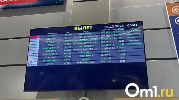 В омском аэропорту массово задержали рейсы из-за метели и дождя