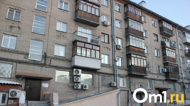 Стали известны подробности смерти омского школьника, который упал с пожарной лестницы