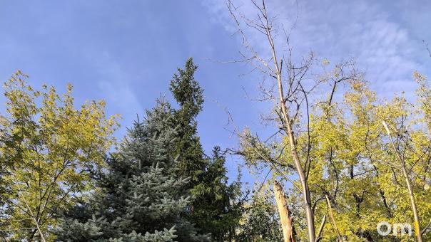В Омске назовут четыре безымянных сквера разом