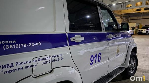 Представились полицейскими. Молодые омичи отправились грабить людей на улицах