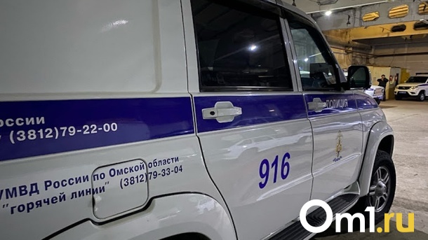 Представились полицейскими. Молодые омичи отправились грабить людей на улицах