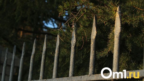 Омские дорожники случайно перекрыли тротуар забором