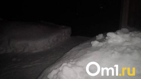 В Омской области сельчанин жестоко убил жену и закопал её тело в снег