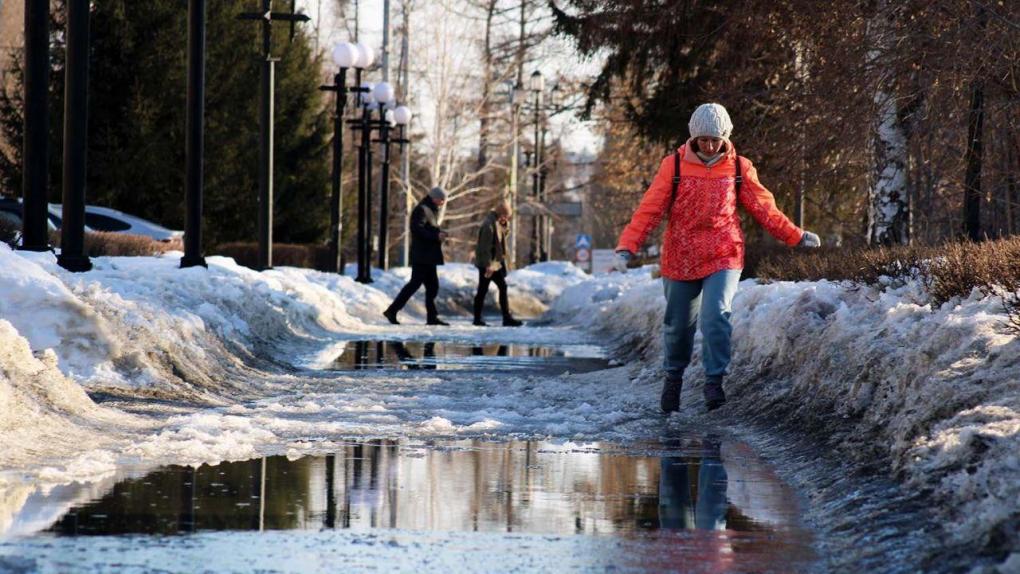 Тепло до +18 в апреле ожидается в Новосибирской области