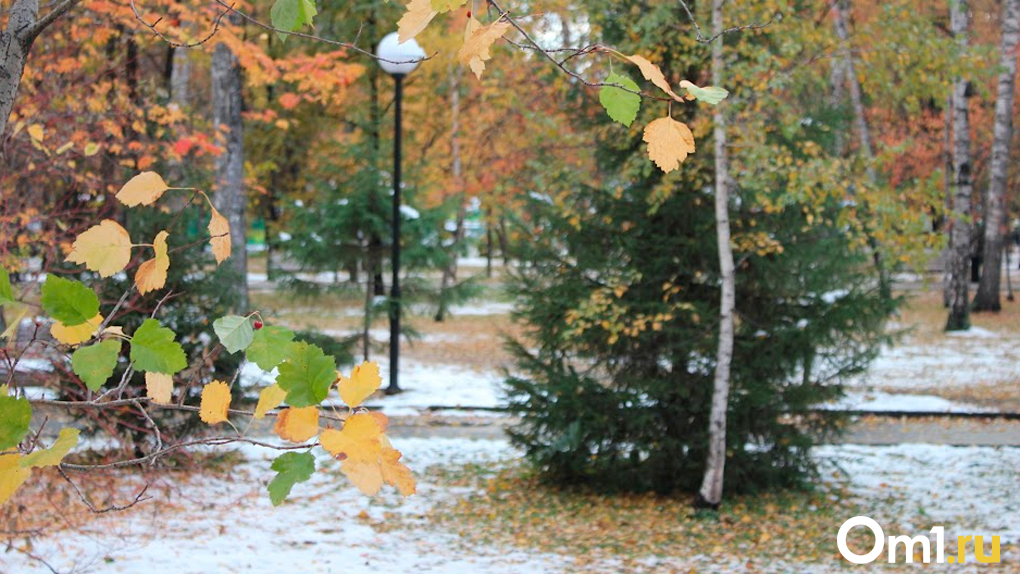 Похолодает до -16. Опубликован прогноз погоды на неделю в Новосибирске