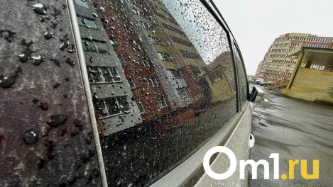В Омске сотрудники УДХБ попались на «автомойке»