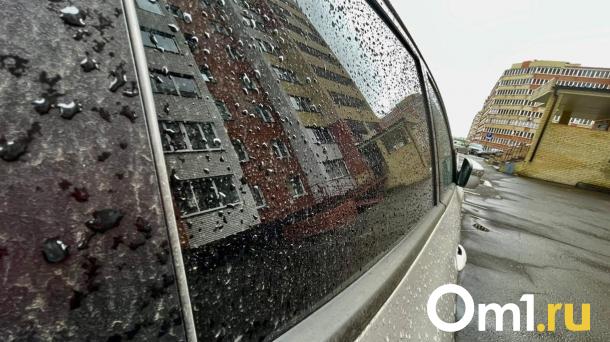В Омске сотрудники УДХБ попались на «автомойке»