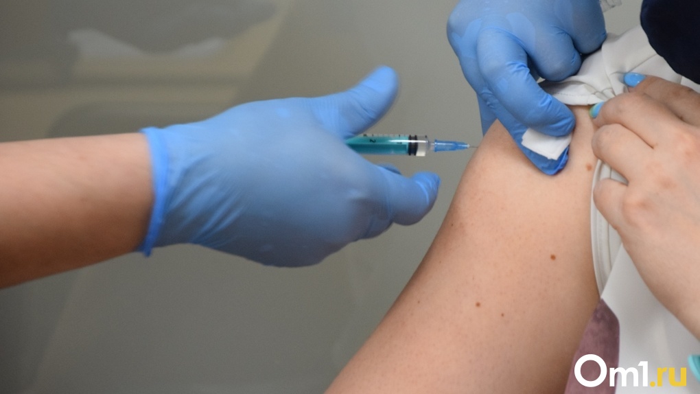 Штрафы до 500 тысяч рублей за отказ от обязательной вакцинации ввели в Новосибирской области